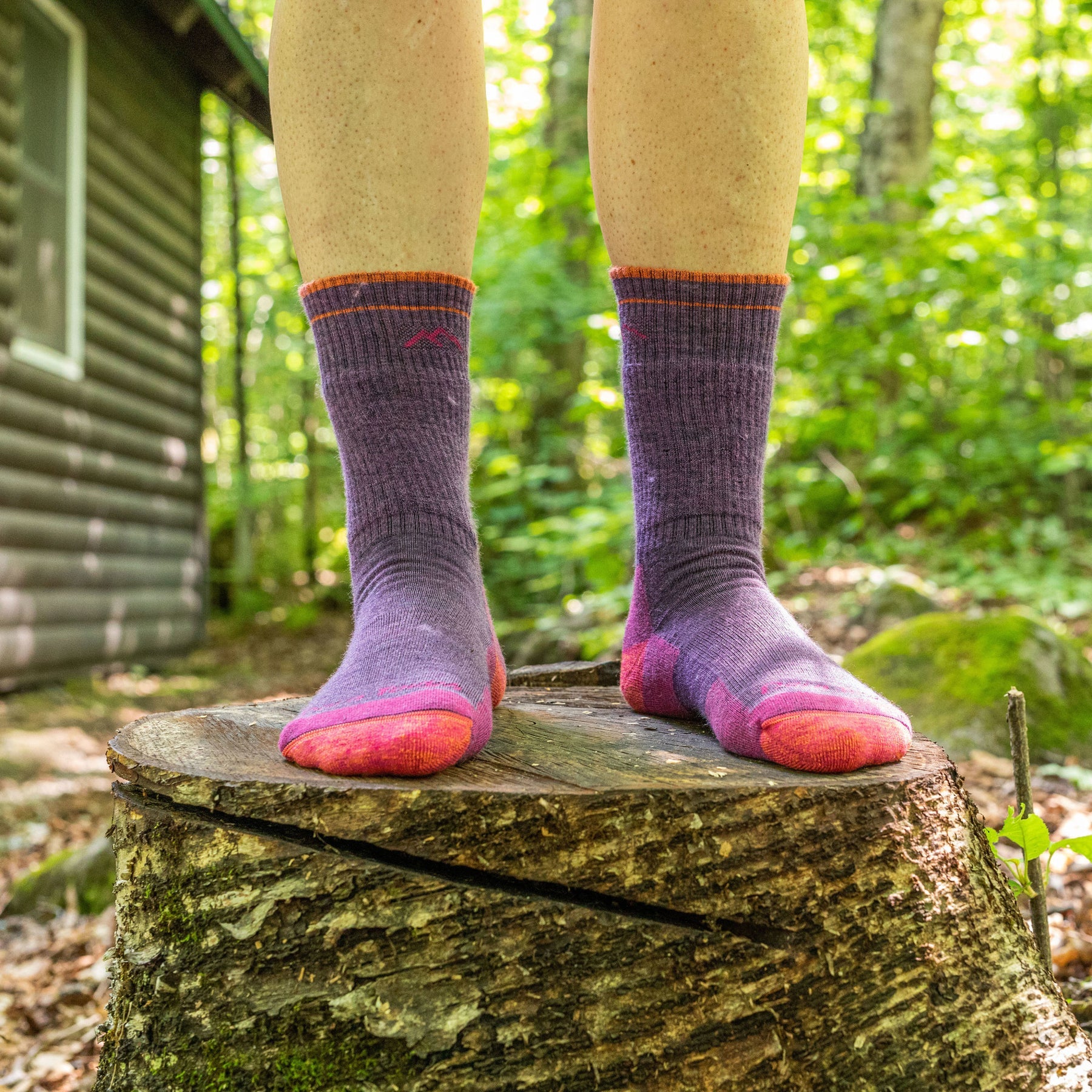 Hiker Boot Mid-Cushion | Plum