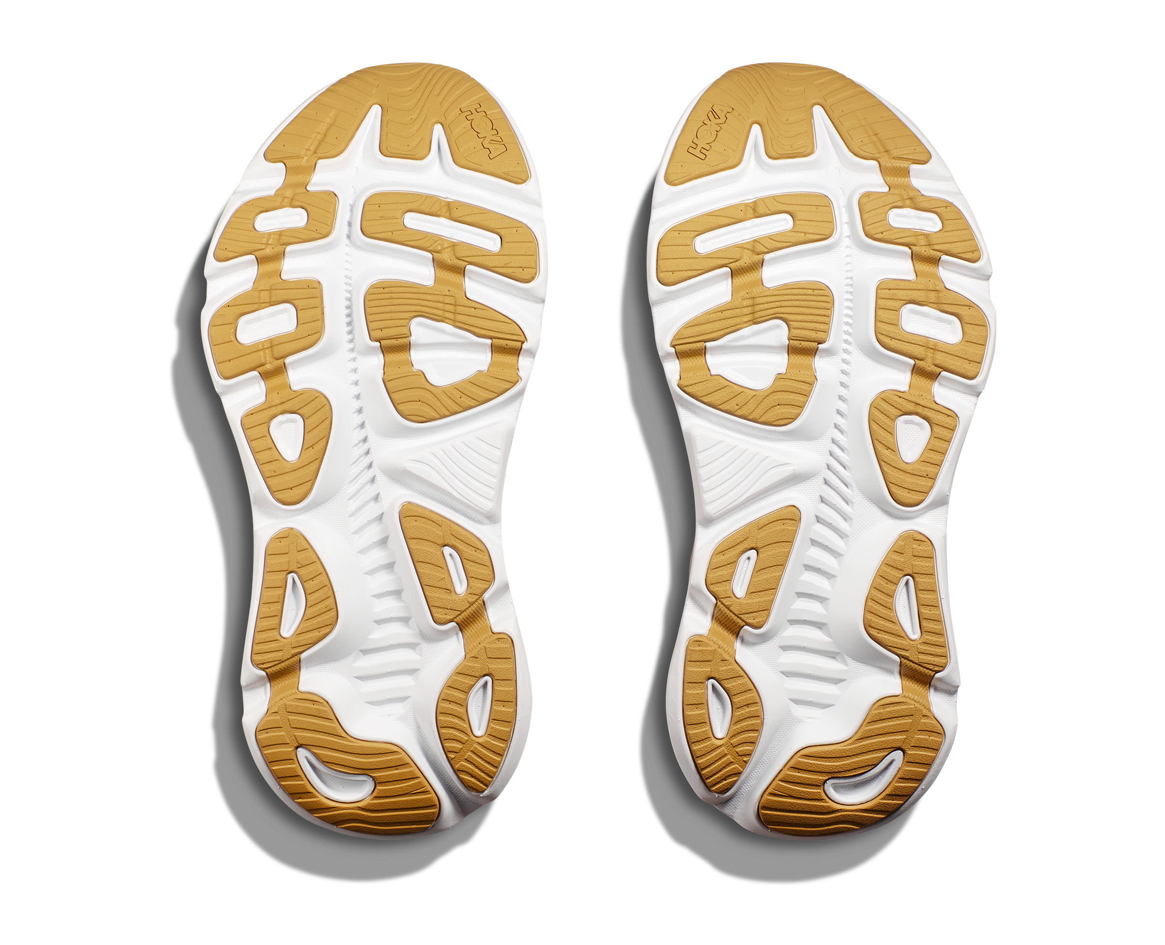 Women's Gaviota 5 | Vanilla/Eggnog