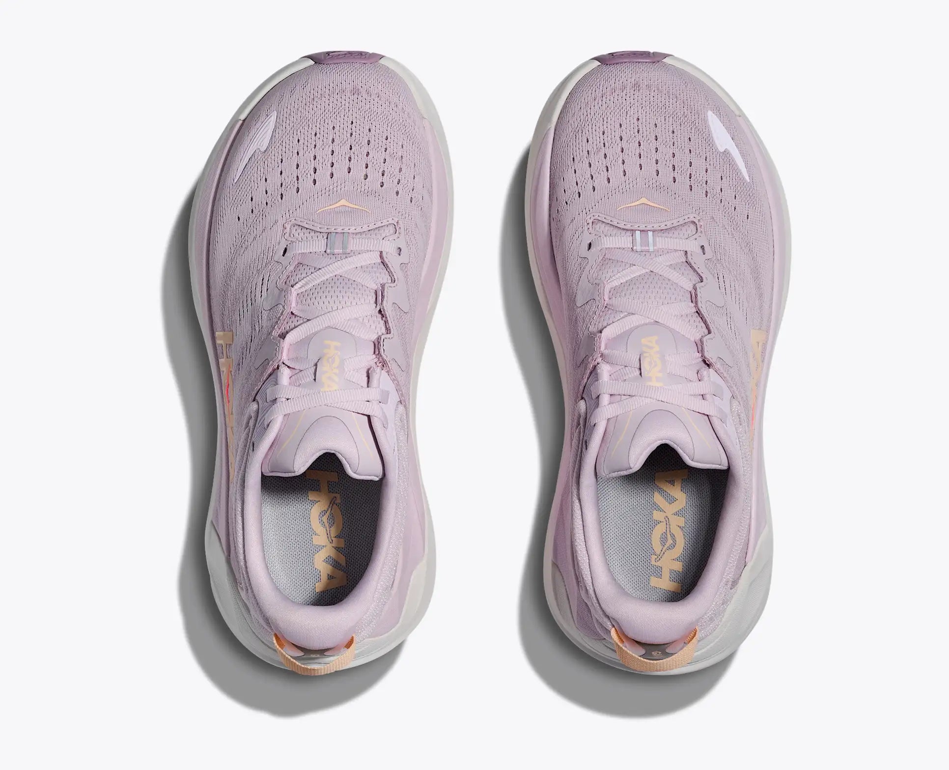 Women's Gaviota 6 |Lilac Cream/Fragrant Lilac