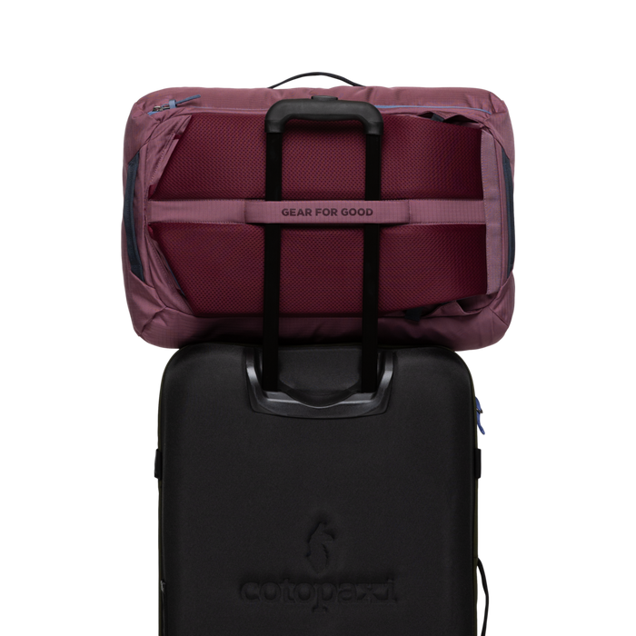 Allpa 35L Travel Pack | Fig