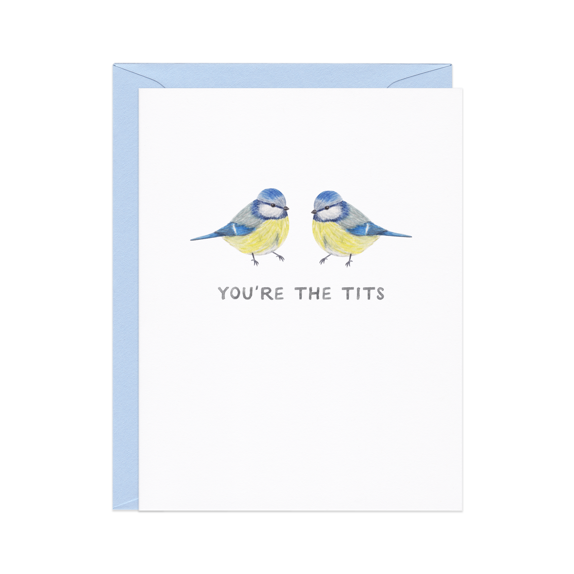 You're the Tits|  Bird Friendship
