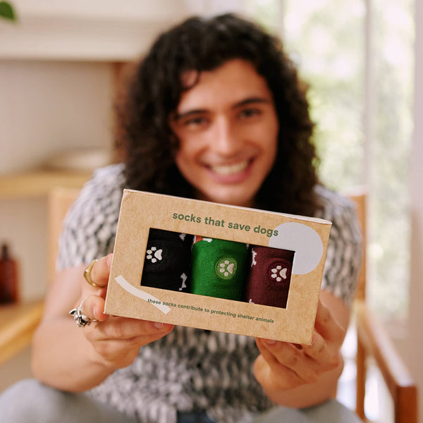 Socks that Save Dogs | Boxed Set