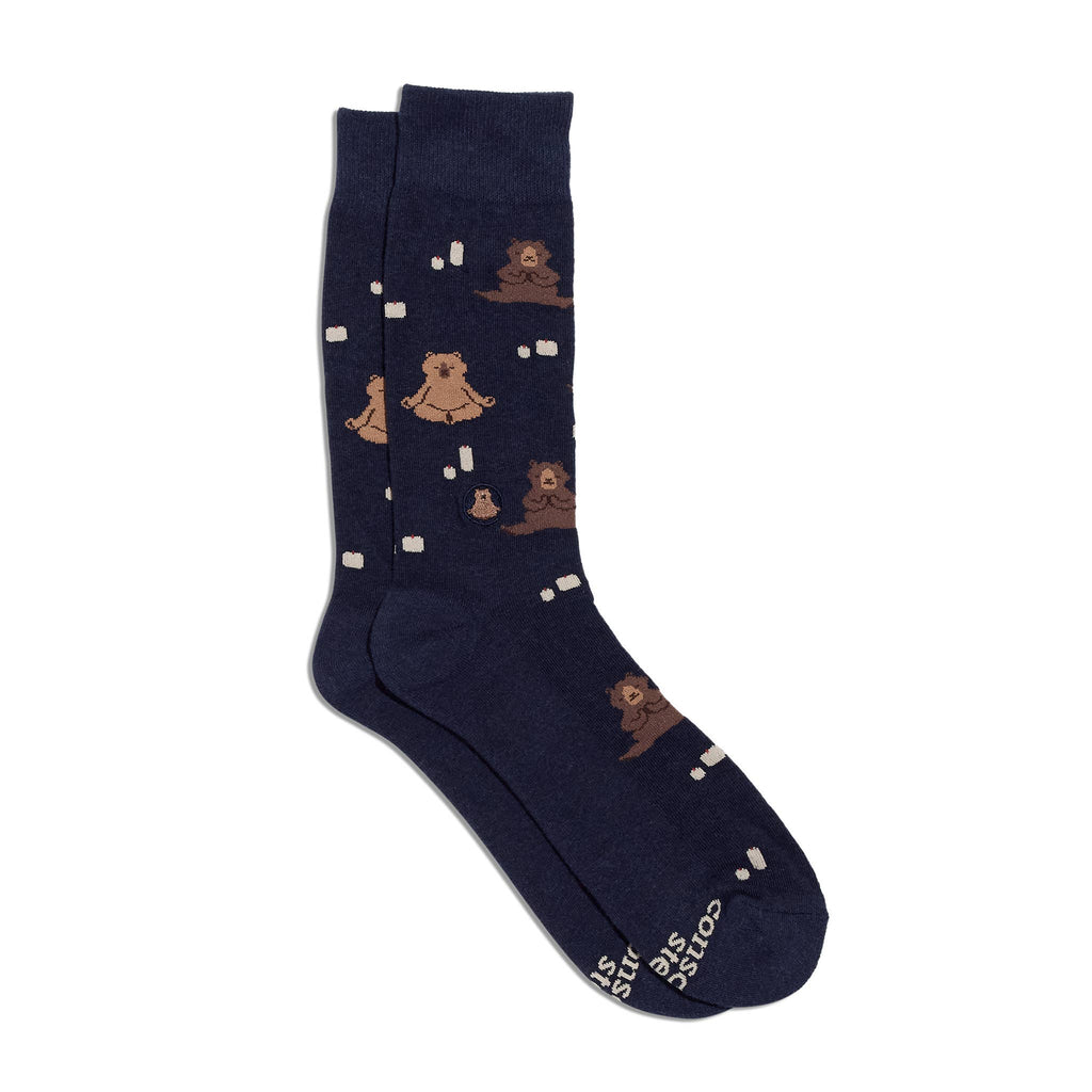 Support Mental Health | Navy Bears