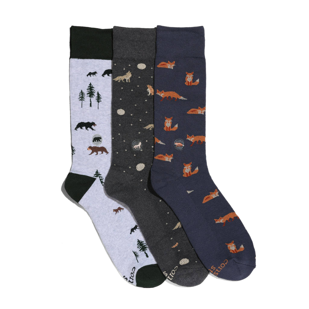Socks that Protect National Parks | Boxed Set