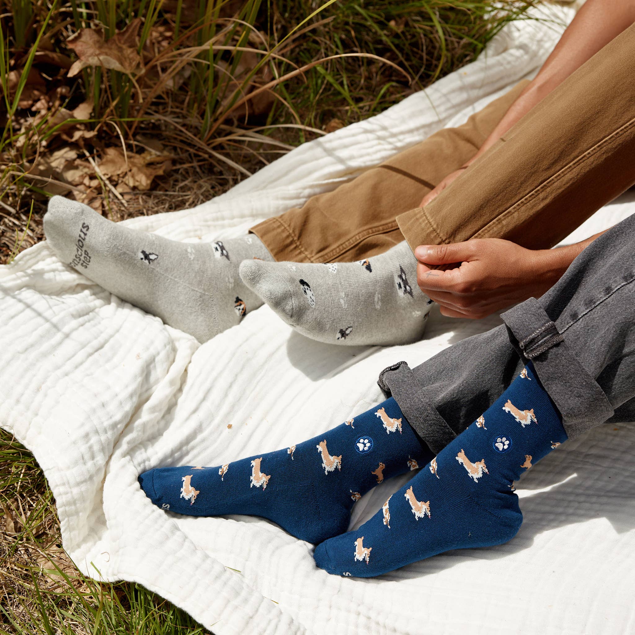 Socks that Save Dogs