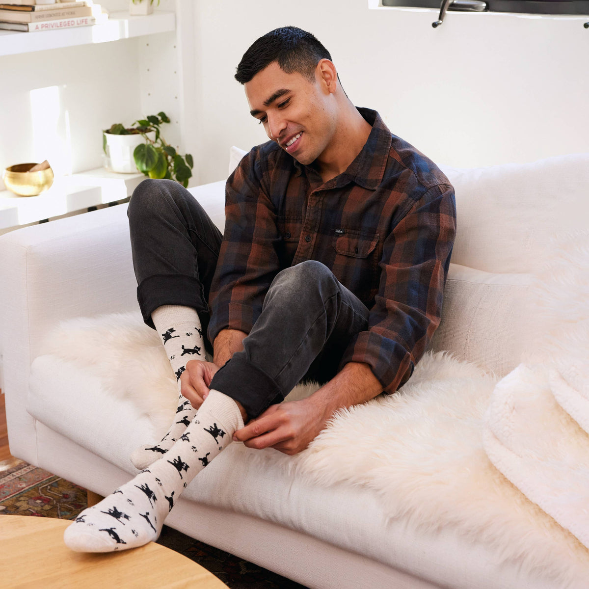 Socks that Save Cats | Beige Cats