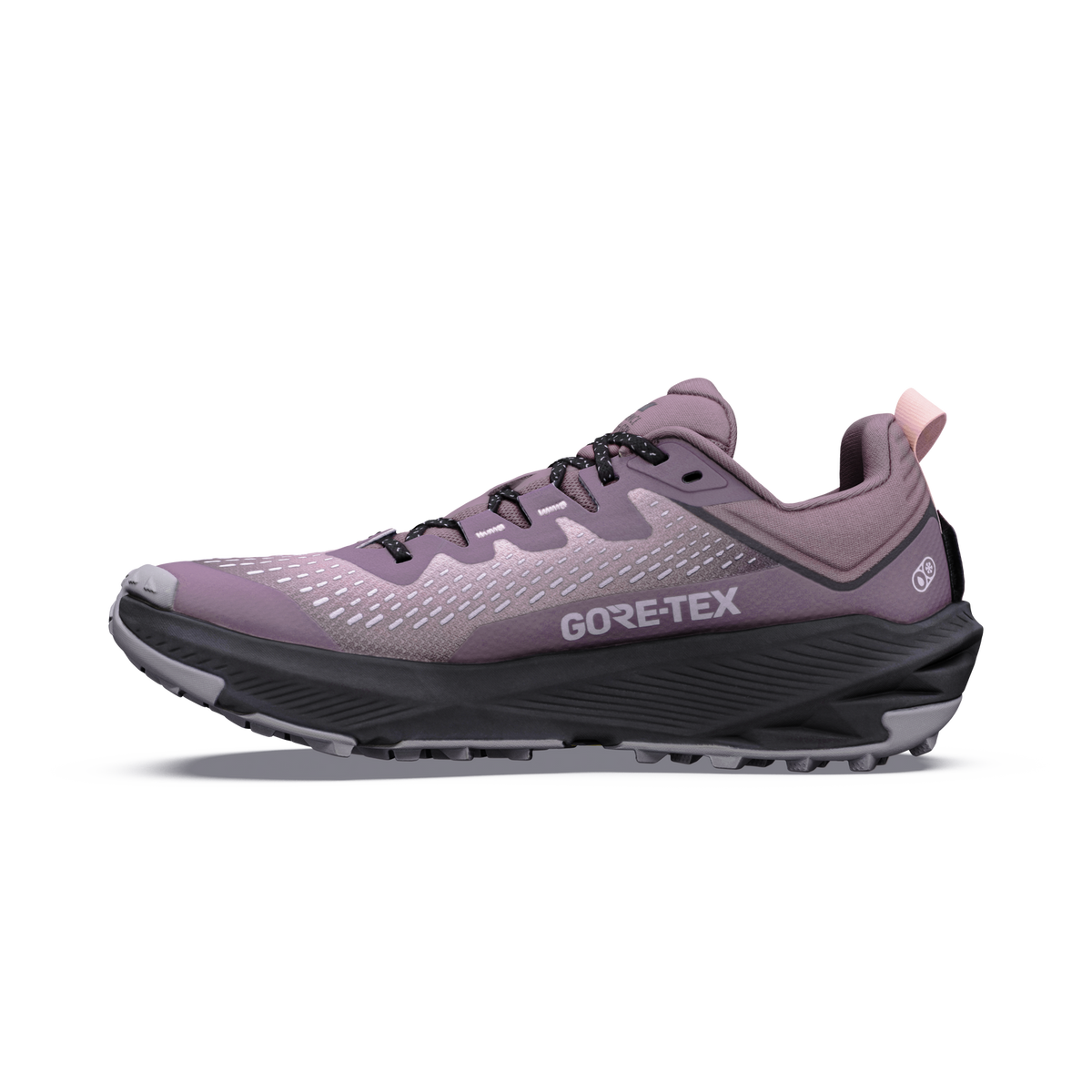 Women's Experience Wild 3+ GTX |  Blue/Dawn