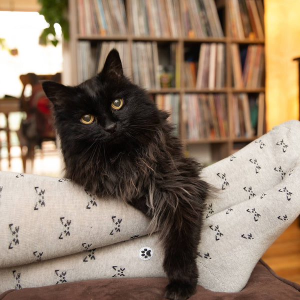 Socks that Save Cats | Boxed Set