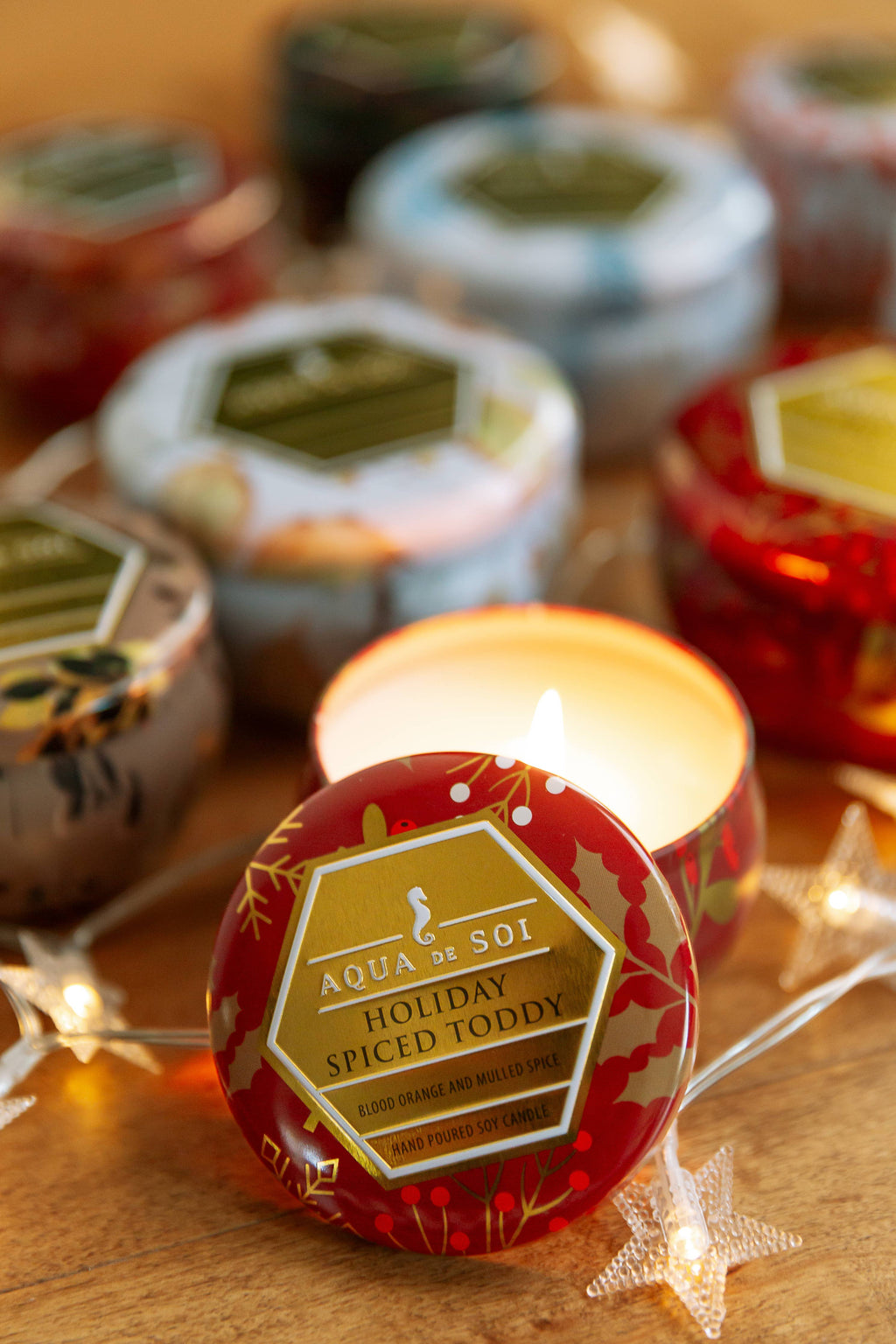 Gilded Cinnamon 9oz Candle Tin