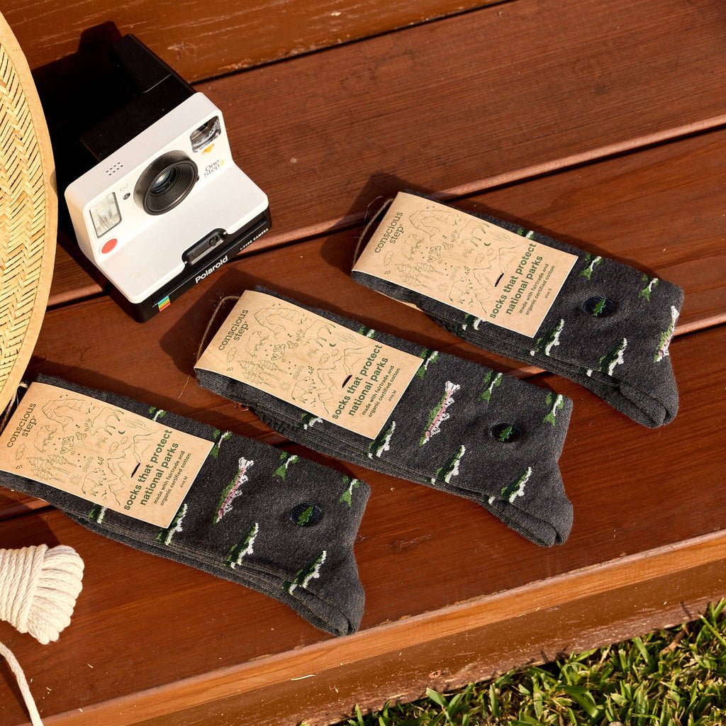 Conscious Step - Socks that Protect National Parks (Gray Fish)