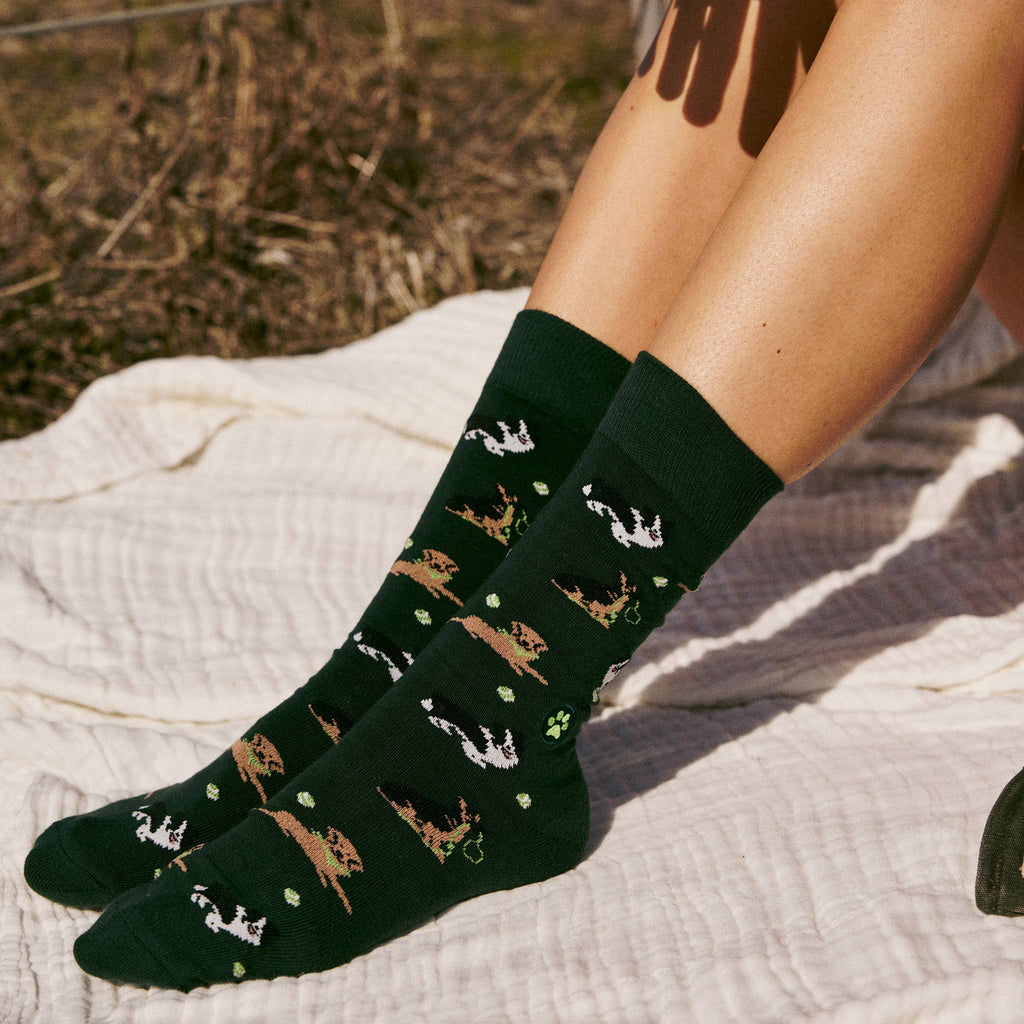 Socks that Save Dogs (Go Fetch)