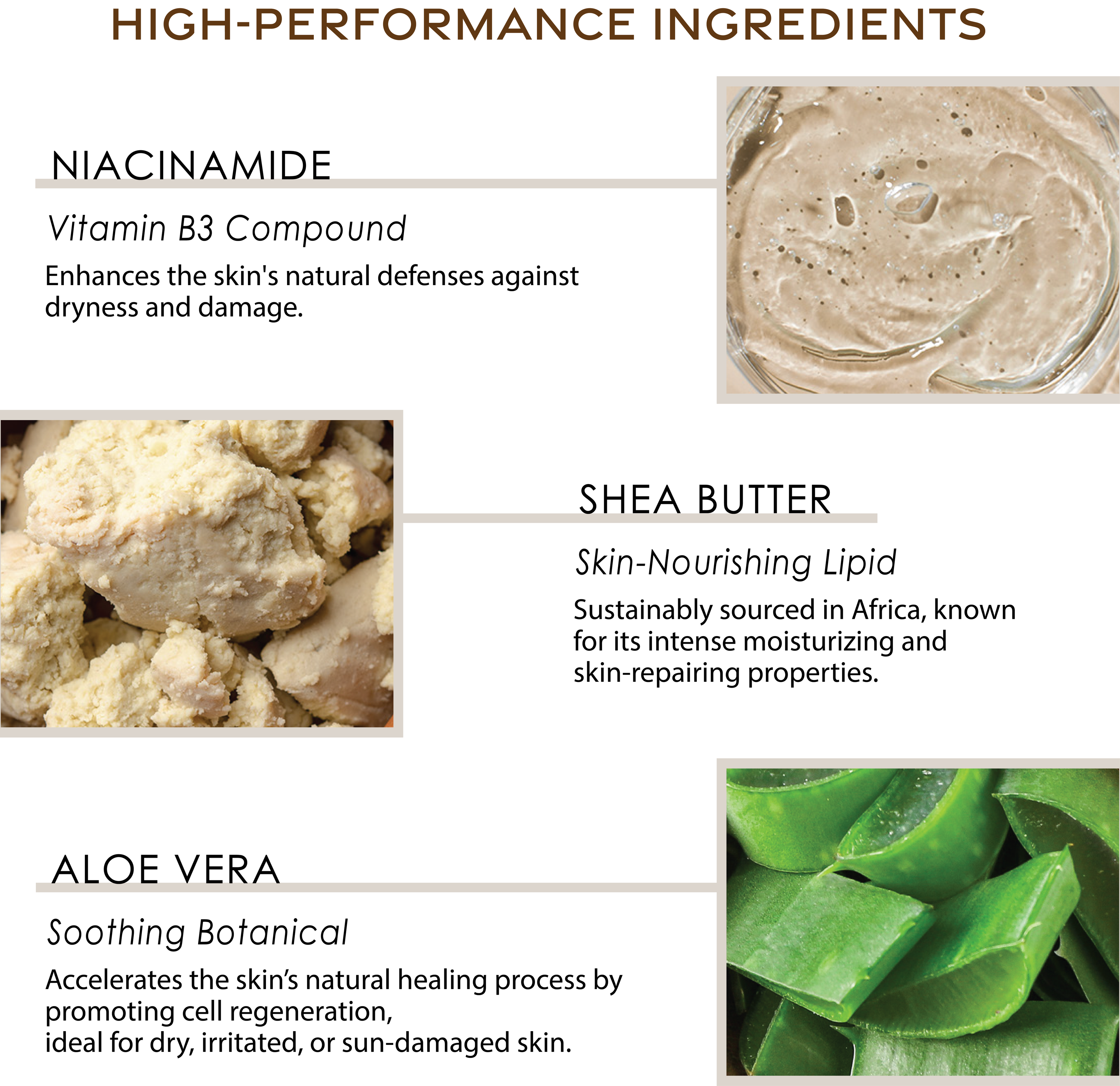 Body Lotion |Brown Sugar Vanilla 8oz