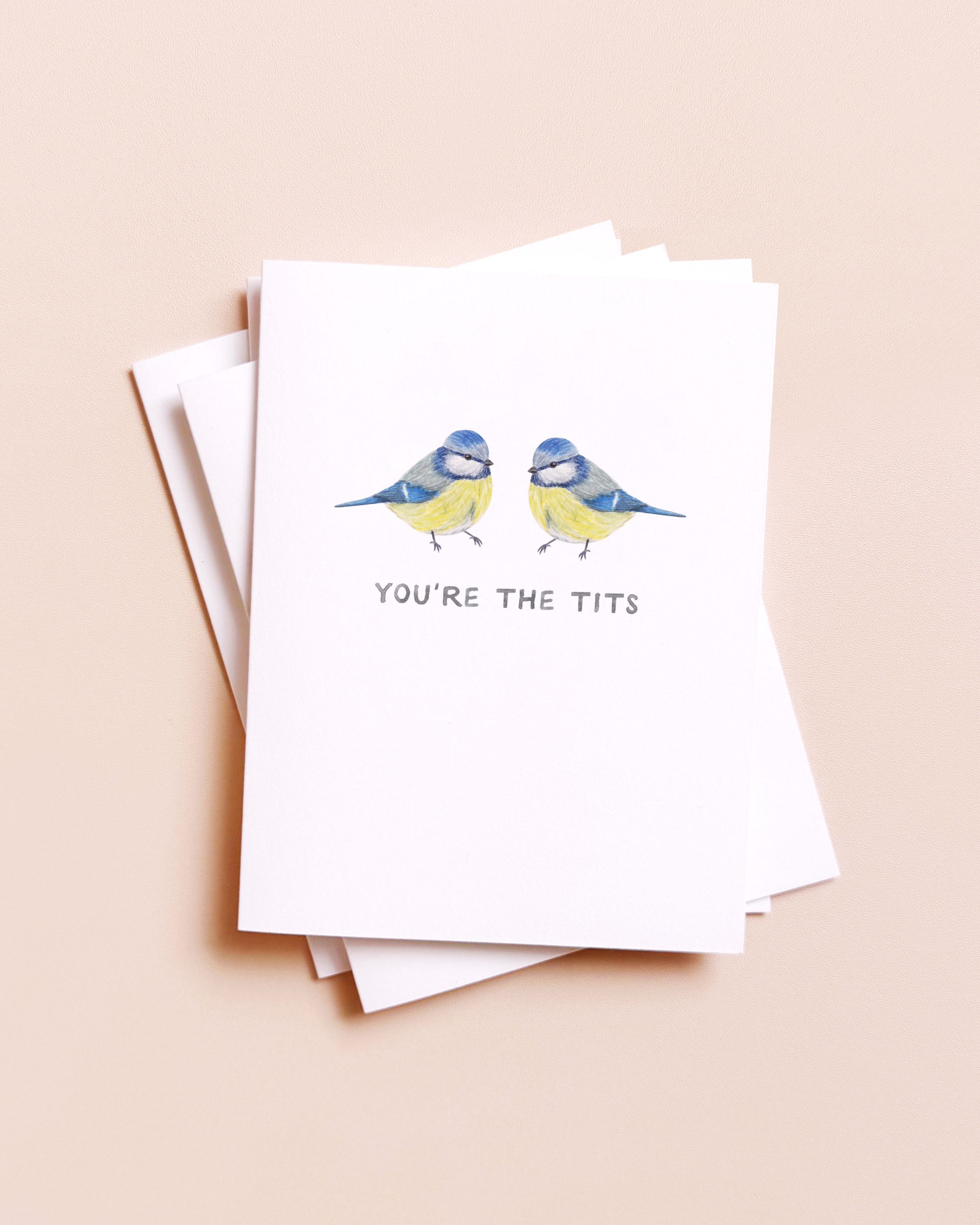 You're the Tits|  Bird Friendship