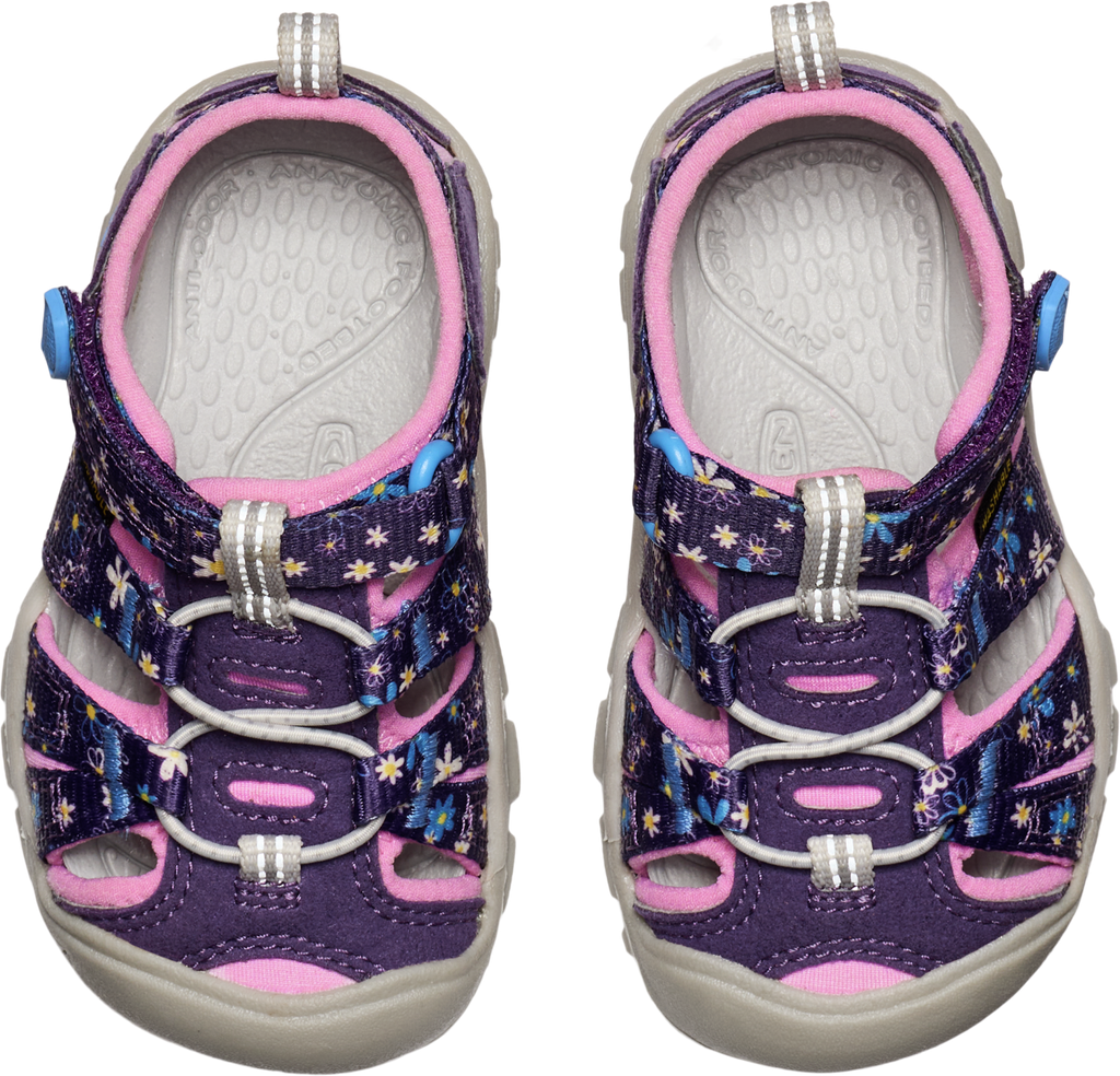 Toddler Seacamp | Daisies/Marina