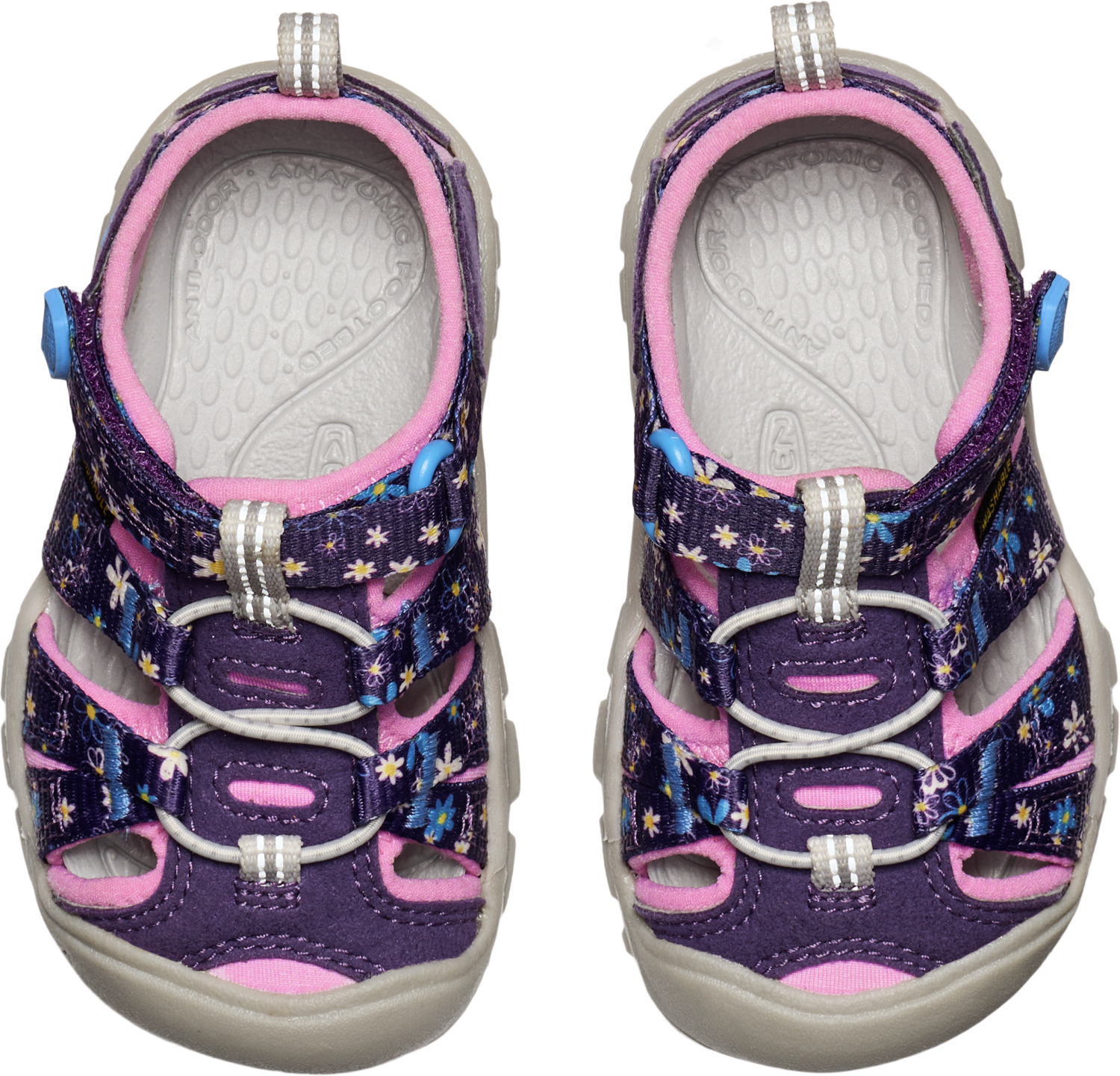 Toddler Seacamp | Daisies/Marina