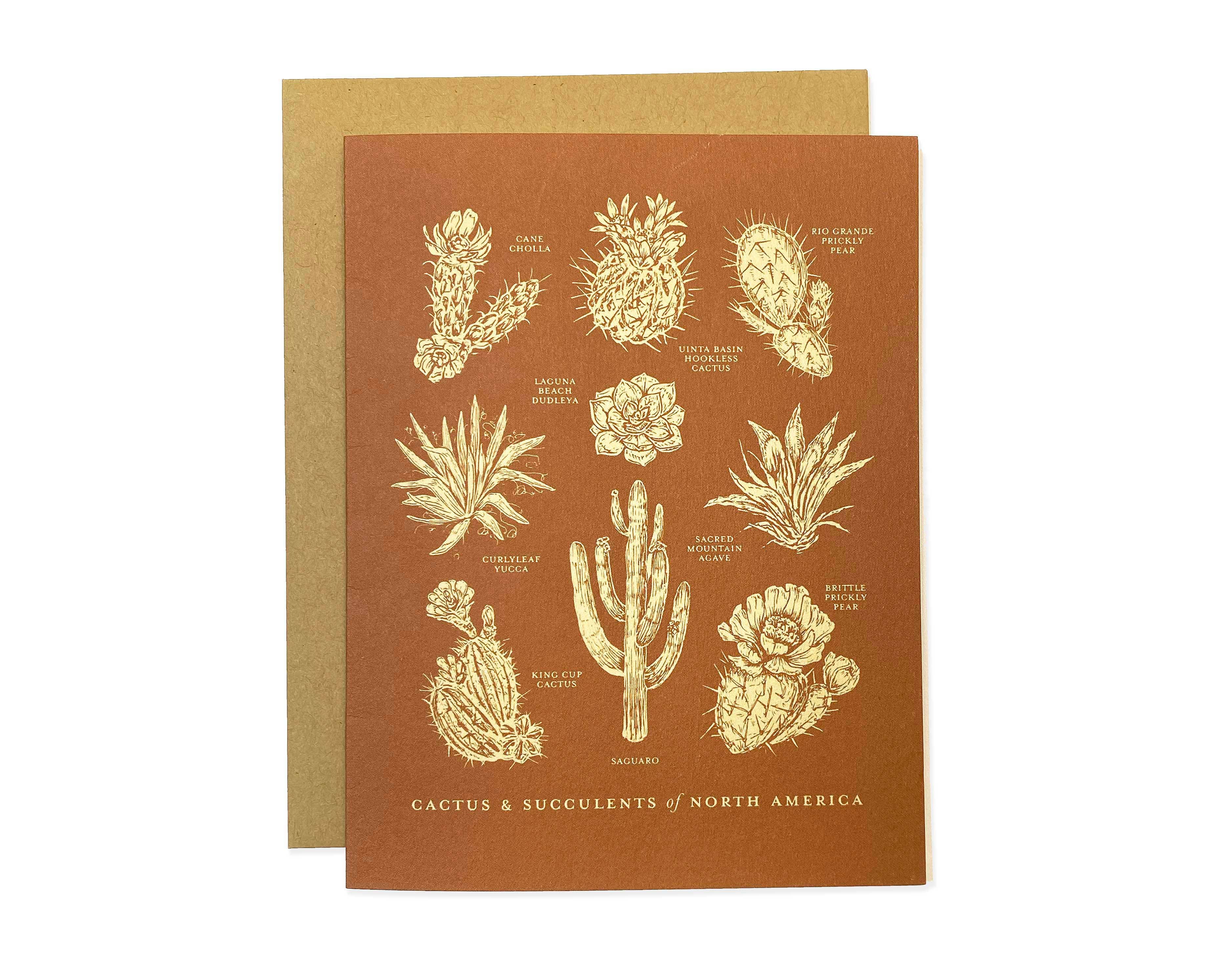 Greeting Card | Cactus + Succulents of North America