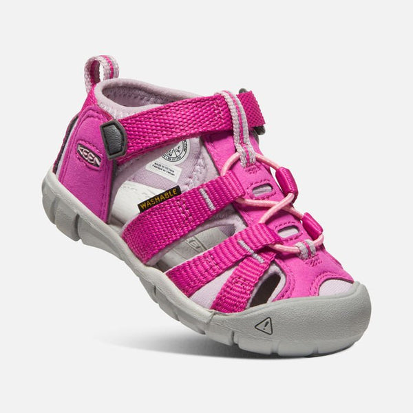 Toddler Seacamp | Very Berry/Dawn Pink