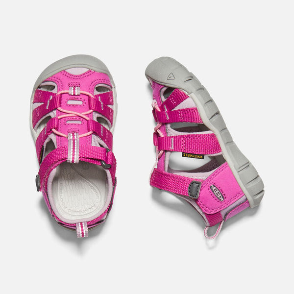 Toddler Seacamp | Very Berry/Dawn Pink