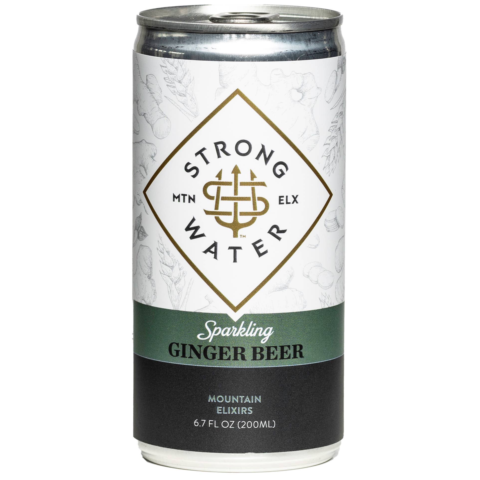 Ginger Beer | 4 Pack