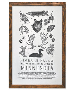 Minnesota Field Guide